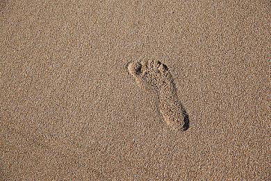 《真·女神转生Ⅴ Vengeance》宣布2024年6月21日发售！